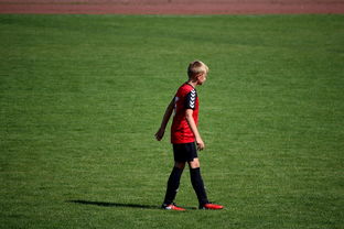 九游娱乐官方平台-俱乐部青训选拔日活动吸引众多有潜力少年参与，足球青训俱乐部招生宣传